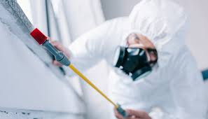 Real Estate Pest Inspections in Ada, MN